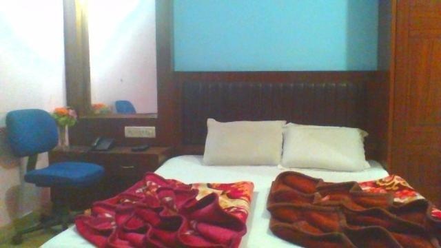 Sahara International Deluxe Hotel New Delhi Room photo