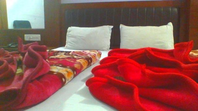 Sahara International Deluxe Hotel New Delhi Room photo