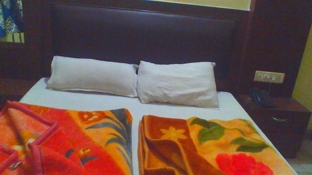 Sahara International Deluxe Hotel New Delhi Room photo